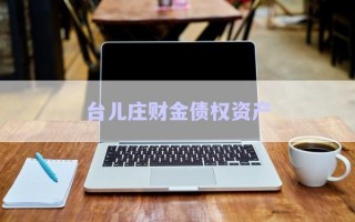 臺兒莊財(cái)金債權(quán)資產(chǎn) 臺兒莊財(cái)金債權(quán)資產(chǎn)