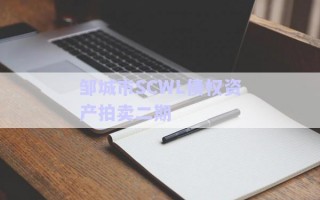 鄒城市SCWL債權(quán)資產(chǎn)拍賣二期 鄒城市SCWL債權(quán)資產(chǎn)拍賣二期