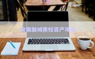 安徽融城債權(quán)資產(chǎn)項(xiàng)目 安徽融城債權(quán)資產(chǎn)項(xiàng)目