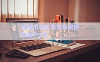 汝州市城市開發(fā)投資債權(quán)資產(chǎn)1號 汝州市城市開發(fā)投資債權(quán)資產(chǎn)1號