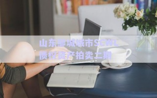 山東鄒城城市SCWL債權資產拍賣二期 山東鄒城城市SCWL債權資產拍賣二期