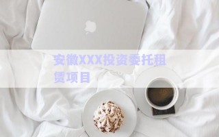 安徽XXX投資委托租賃項(xiàng)目 安徽XXX投資委托租賃項(xiàng)目