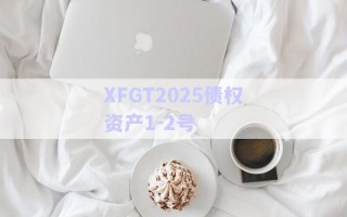 XFGT2025債權資產(chǎn)1-2號 XFGT2025債權資產(chǎn)1-2號