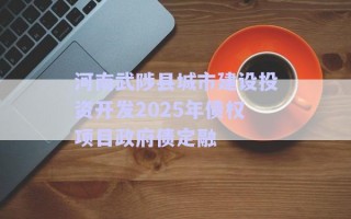 河南武陟縣城市建設投資開發(fā)2025年債權項目政府債定融 河南武陟縣城市建設投資開發(fā)2025年債權項目政府債定融