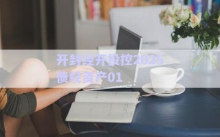 開封經(jīng)開投控2025債權資產(chǎn)01 開封經(jīng)開投控2025債權資產(chǎn)01