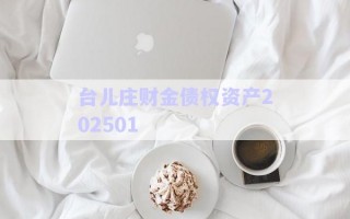 臺兒莊財金債權資產202501 臺兒莊財金債權資產202501