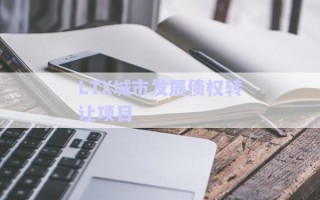 LTX城市發(fā)展債權(quán)轉(zhuǎn)讓項目 LTX城市發(fā)展債權(quán)轉(zhuǎn)讓項目