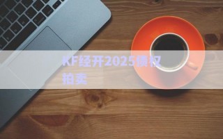 KF經(jīng)開2025債權(quán)拍賣 KF經(jīng)開2025債權(quán)拍賣