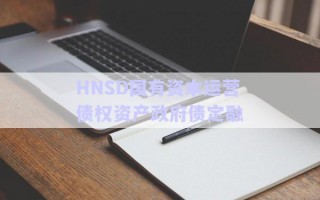 HNSD國(guó)有資本運(yùn)營(yíng)債權(quán)資產(chǎn)政府債定融 HNSD國(guó)有資本運(yùn)營(yíng)債權(quán)資產(chǎn)政府債定融