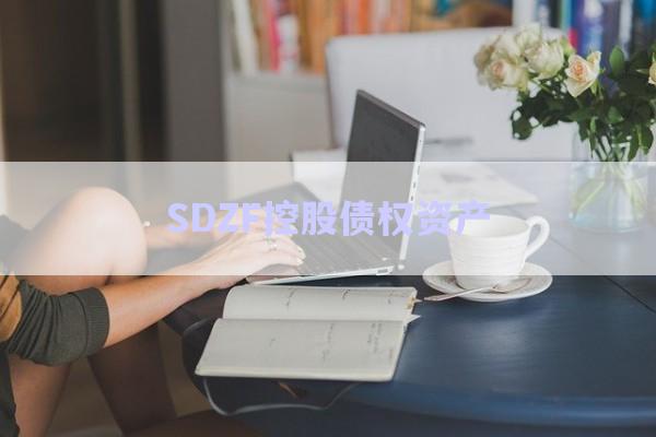 SDZF控股債權(quán)資產(chǎn)-第1張圖片-政信固收網(wǎng) SDZF控股債權(quán)資產(chǎn)-第1張圖片-政信固收網(wǎng)
