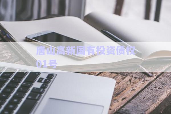 唐山高新國有投資債權(quán)01號-第1張圖片-政信固收網(wǎng) 唐山高新國有投資債權(quán)01號-第1張圖片-政信固收網(wǎng)